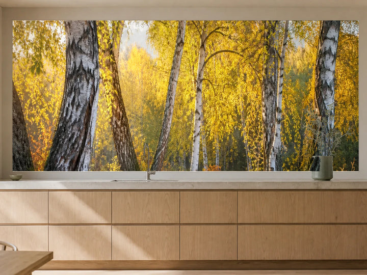 Küchenrückwand „Birkenlicht im goldenen Herbst“ als installierte Rückwand in einer warmen Küche