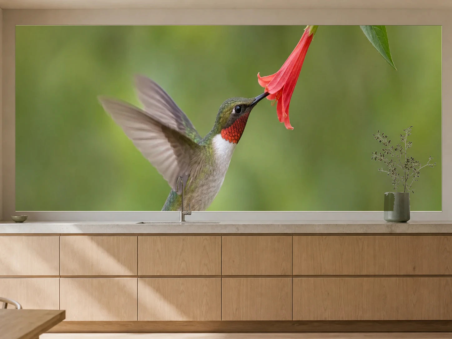 Küchenrückwand „Kolibri an einer roten Blüte“ als installierte Rückwand in einer warmen Küche