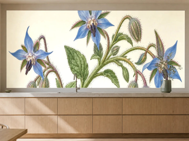 Küchenrückwand „Borretsch mit Sternblüten – Botanischer Stich“ als installierte Rückwand in einer warmen Küche
