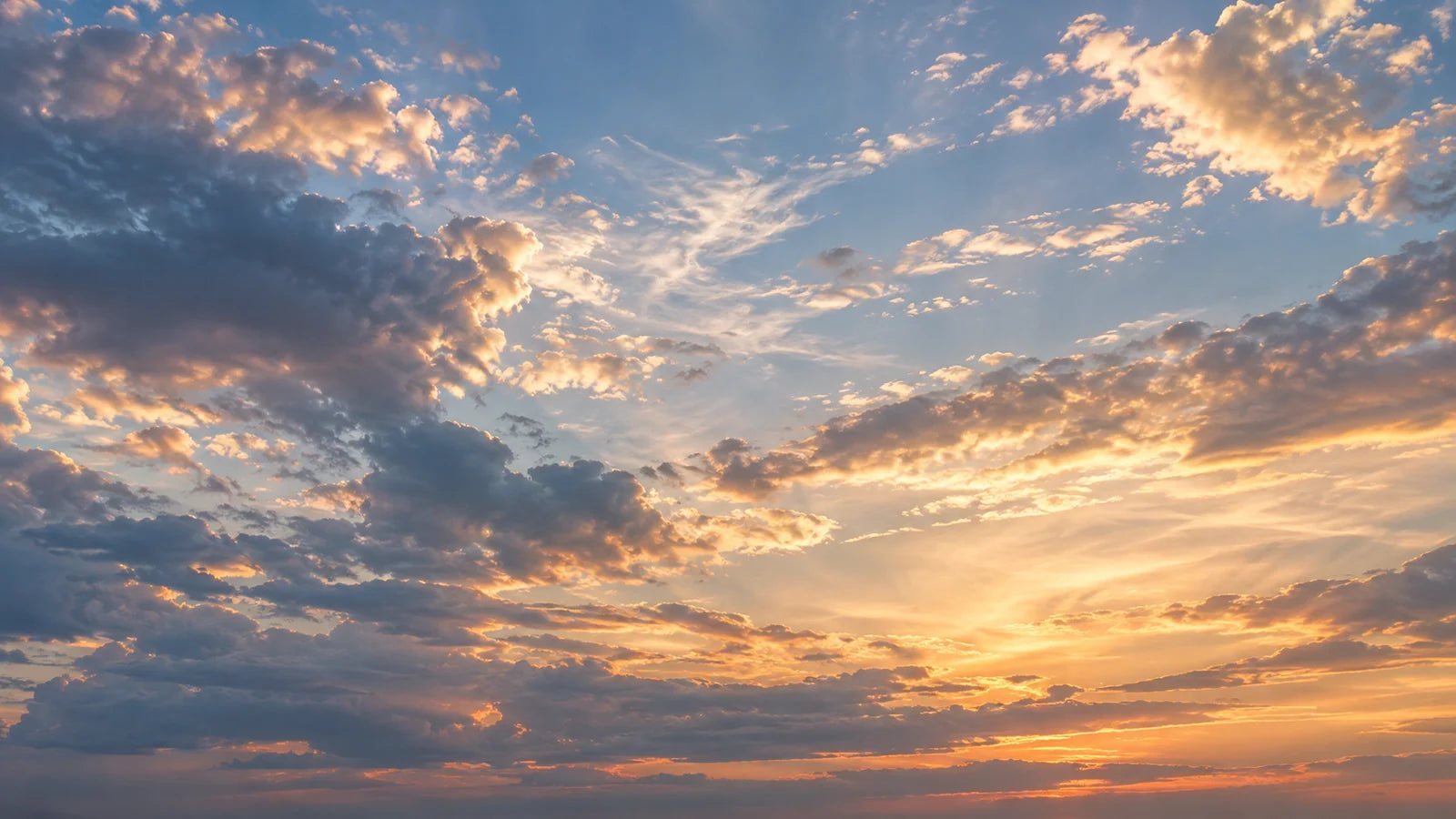 Motivvorschau „Goldener Saum im Morgenblau“ für Duschrückwand