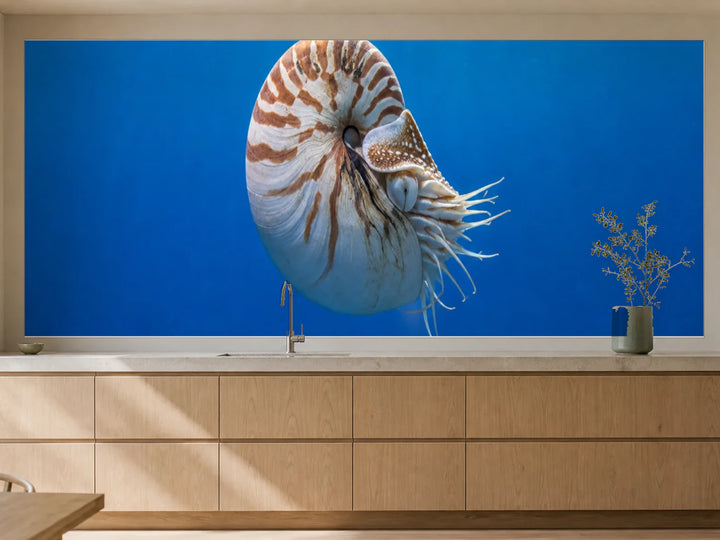 Küchenrückwand „Nautilus in blauer Tiefe“ als installierte Rückwand in einer warmen Küche
