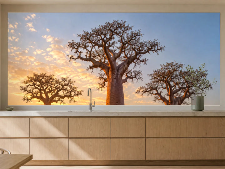 Küchenrückwand „Baobabs im Morgennebel“ als installierte Rückwand in einer warmen Küche