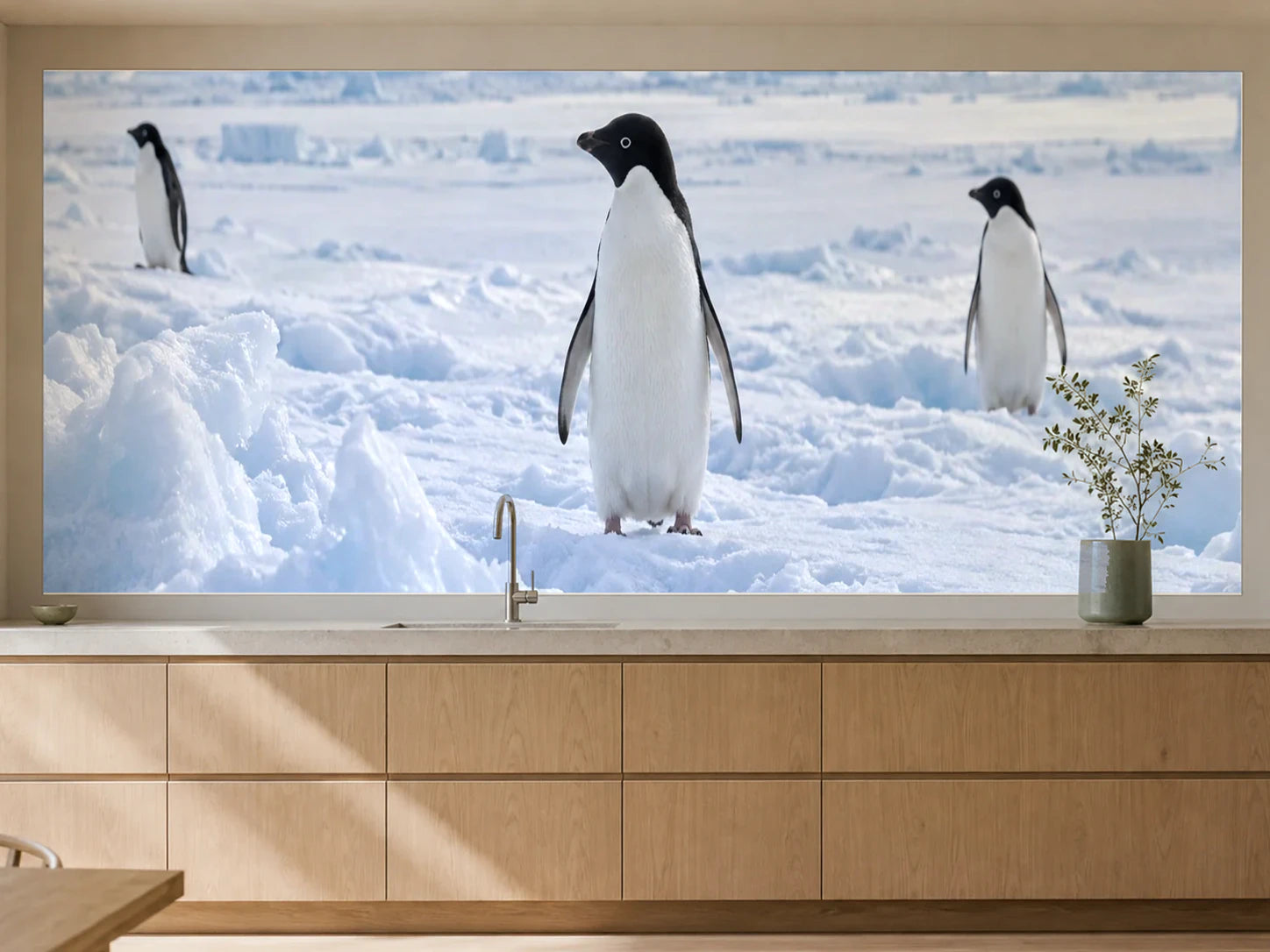 Küchenrückwand „Adeliepinguine auf dem Meereis“ als installierte Rückwand in einer warmen Küche