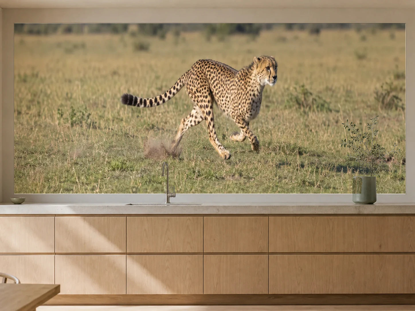 Küchenrückwand „Gepard im Lauf durch die Savanne“ als installierte Rückwand in einer warmen Küche