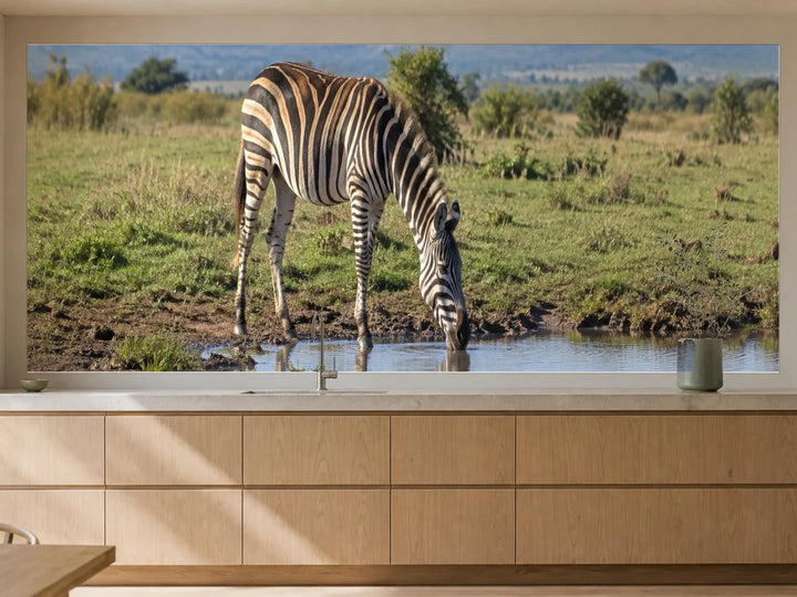 Küchenrückwand „Zebra am stillen Savannensee“ als installierte Rückwand in einer warmen Küche
