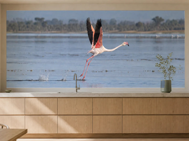 Küchenrückwand „Flamingo beim Start vom See“ als installierte Rückwand in einer warmen Küche