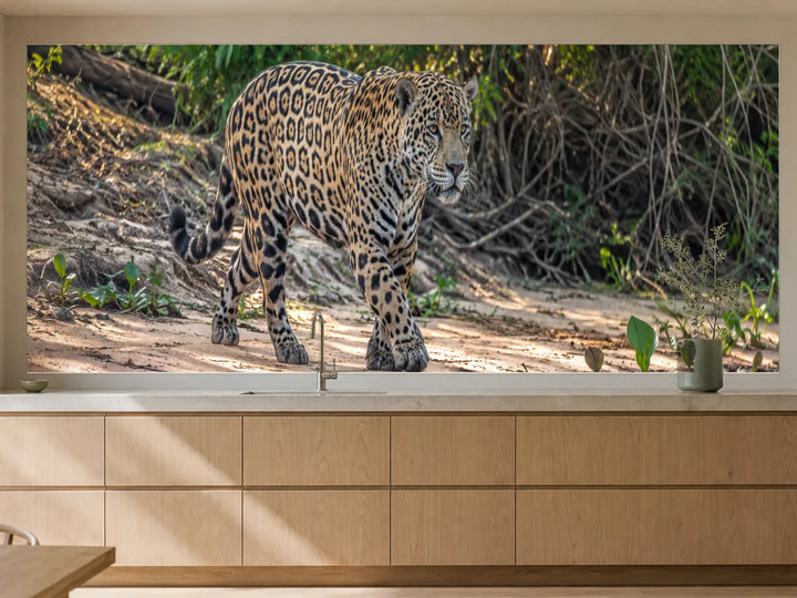 Küchenrückwand „Jaguar am Ufer des Pantanal“ als installierte Rückwand in einer warmen Küche