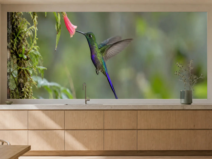 Küchenrückwand „Kolibri an einer Andenblüte“ als installierte Rückwand in einer warmen Küche