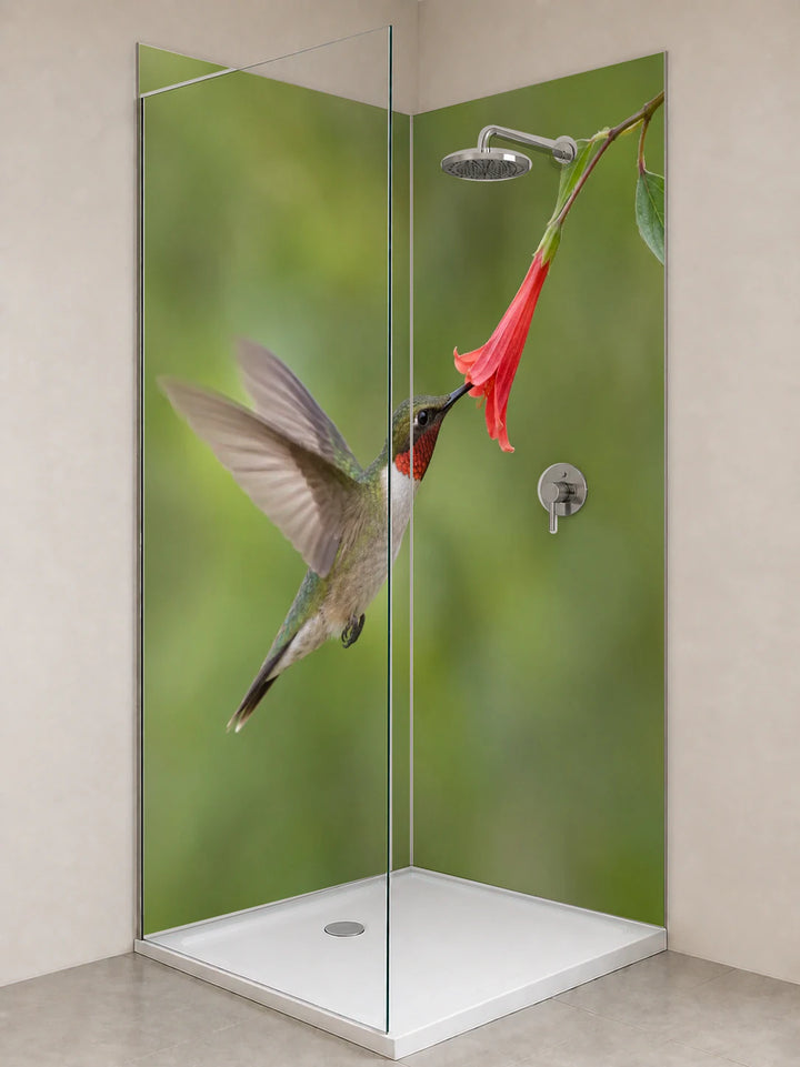 Duschrückwand „Kolibri an einer roten Blüte“ als installierte Rückwand in einer hellen Dusche