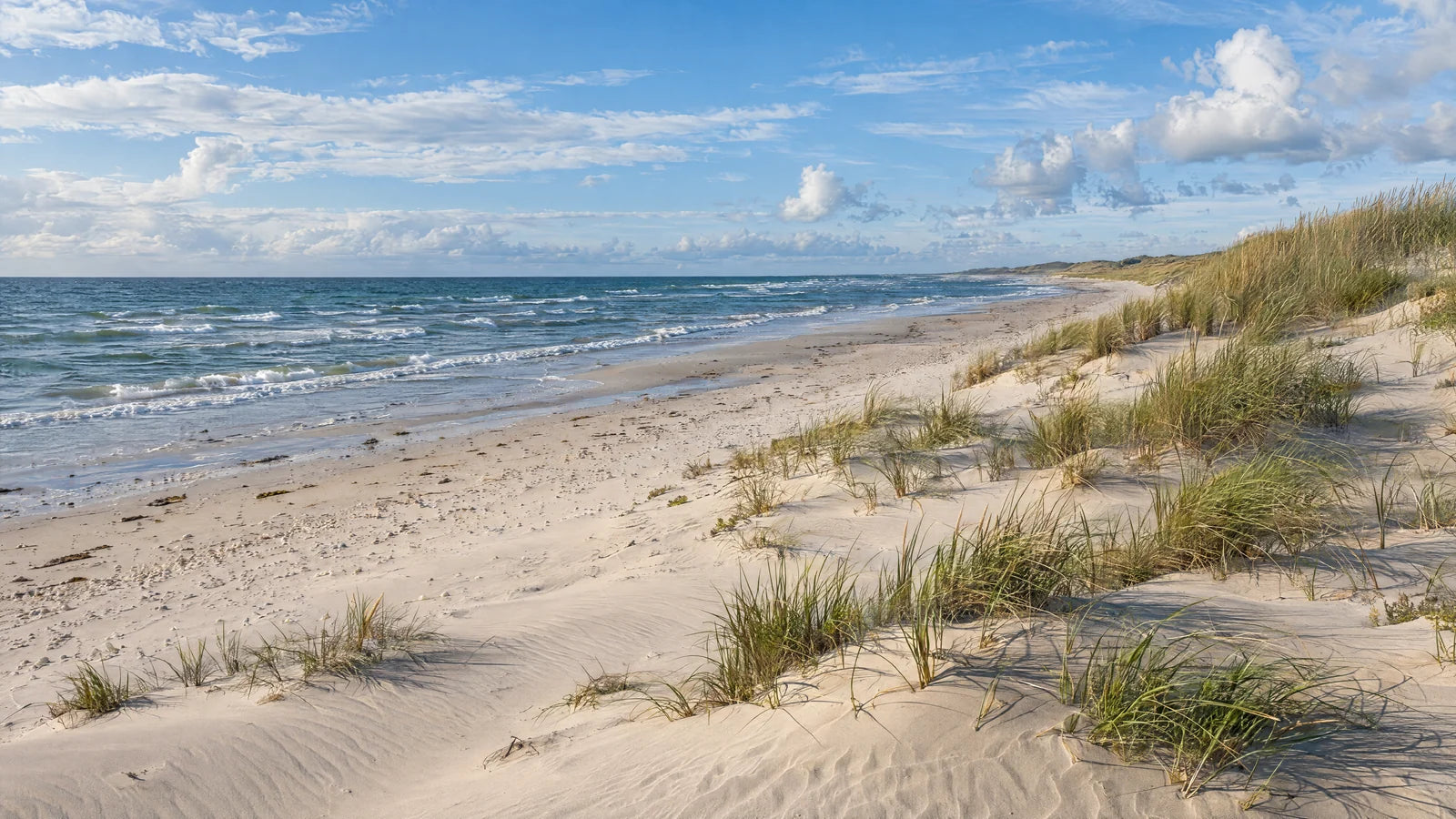 Motivvorschau „Windspuren am Nordseestrand“ für Duschrückwand