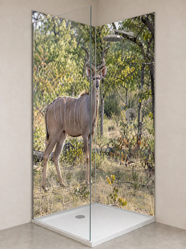 Duschrückwand „Kudu im lichten Mopanewald“ als installierte Rückwand in einer hellen Dusche