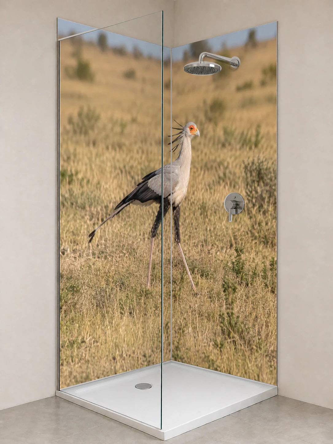Duschrückwand „Sekretärvogel im Savannengras“ als installierte Rückwand in einer hellen Dusche