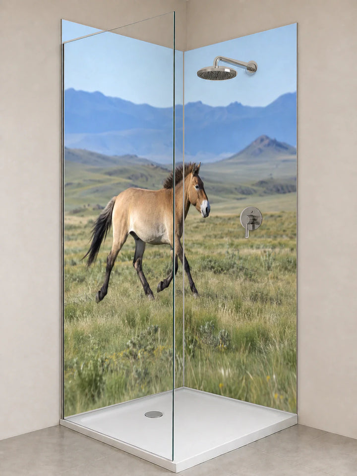 Duschrückwand „Przewalskipferd in der mongolischen Steppe“ als installierte Rückwand in einer hellen Dusche