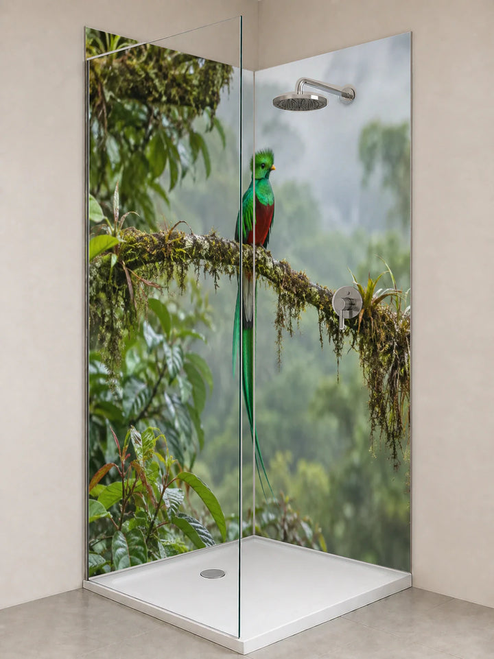 Duschrückwand „Quetzal im Nebelwald von Costa Rica“ als installierte Rückwand in einer hellen Dusche