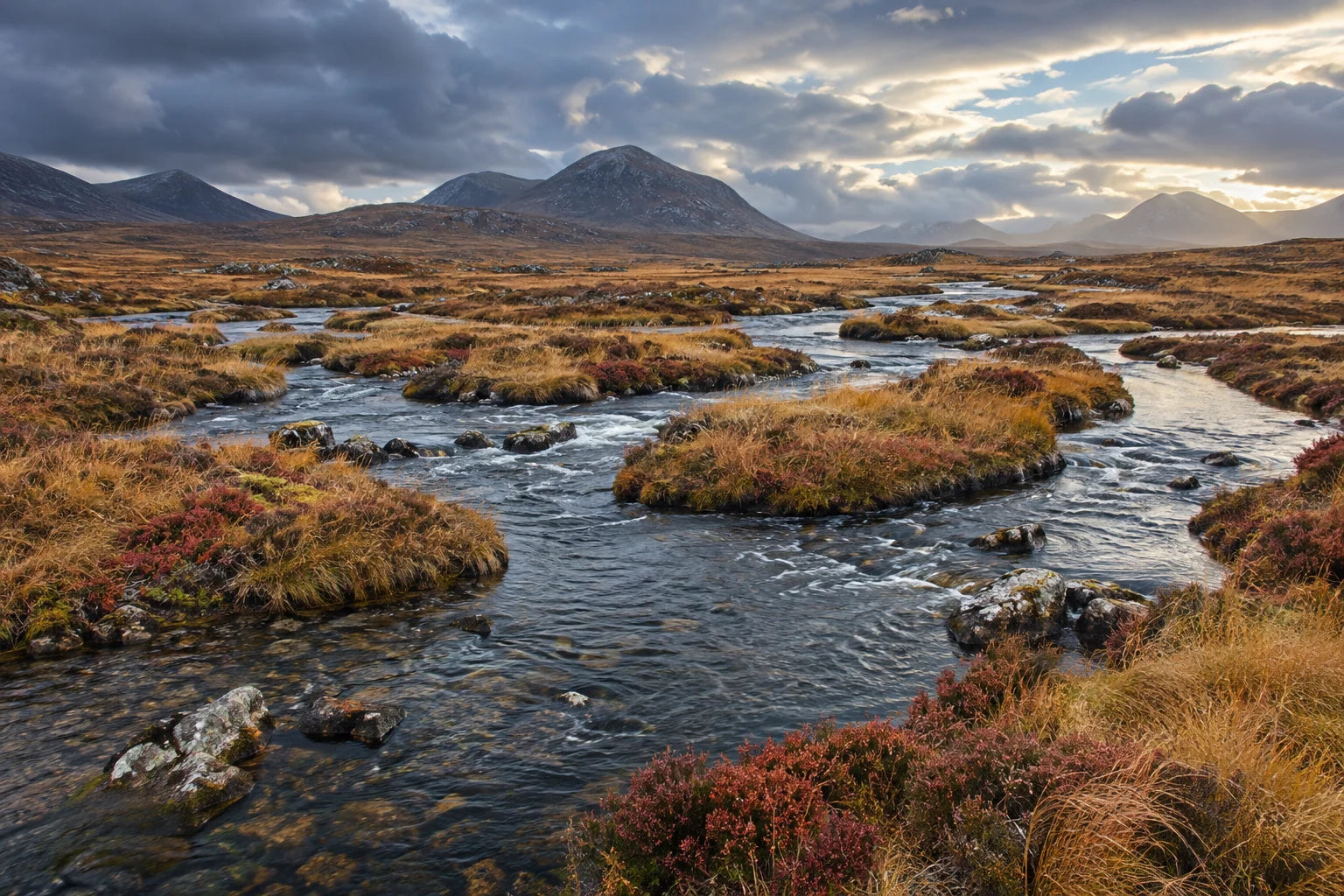 Motivvorschau „Flussarme im herbstlichen Moor“ für Duschrückwand