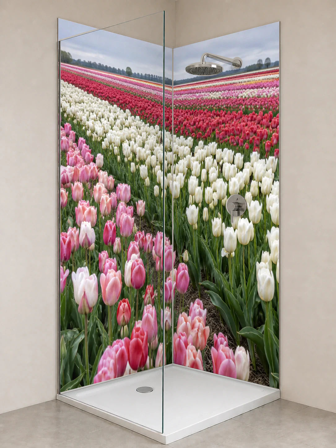 Duschrückwand „Tulpenfeld in sanften Farbbändern“ als installierte Rückwand in einer hellen Dusche
