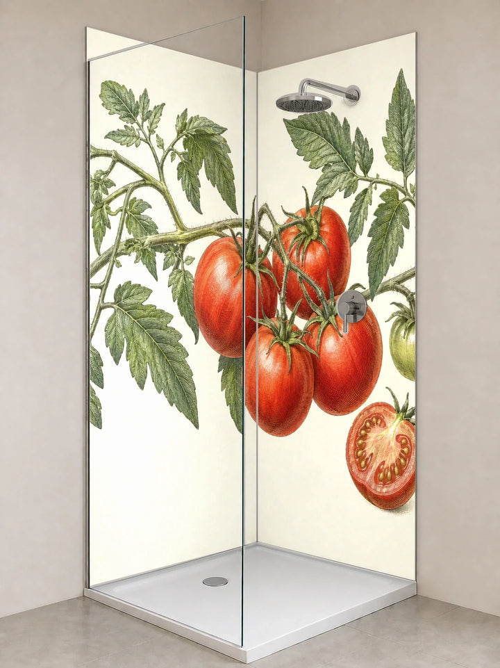 Duschrückwand „Tomatenrispe mit Blüten – Botanischer Stich“ als installierte Rückwand in einer hellen Dusche