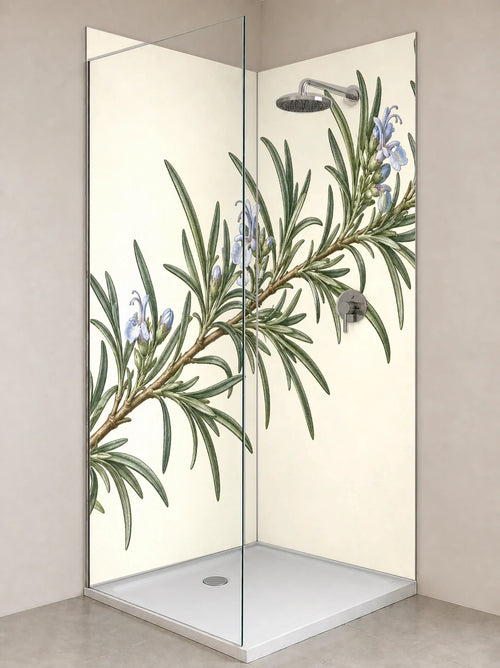 Duschrückwand „Blühender Rosmarin – Botanischer Stich“ als installierte Rückwand in einer hellen Dusche