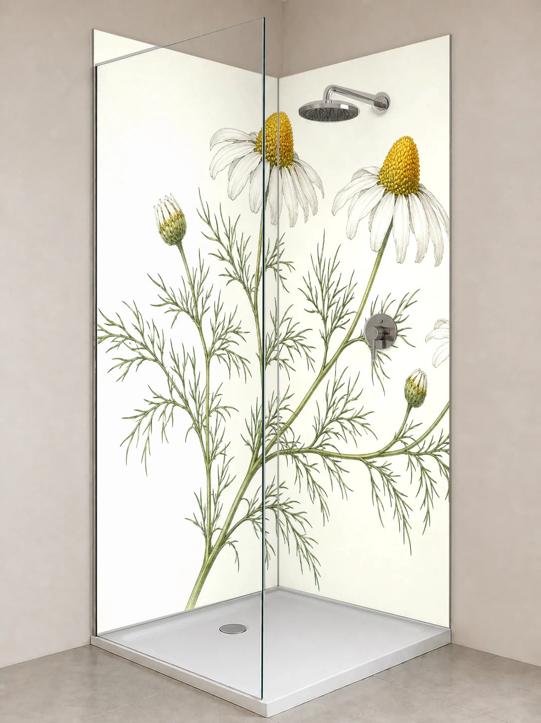 Duschrückwand „Kamille in feinen Linien – Botanischer Stich“ als installierte Rückwand in einer hellen Dusche