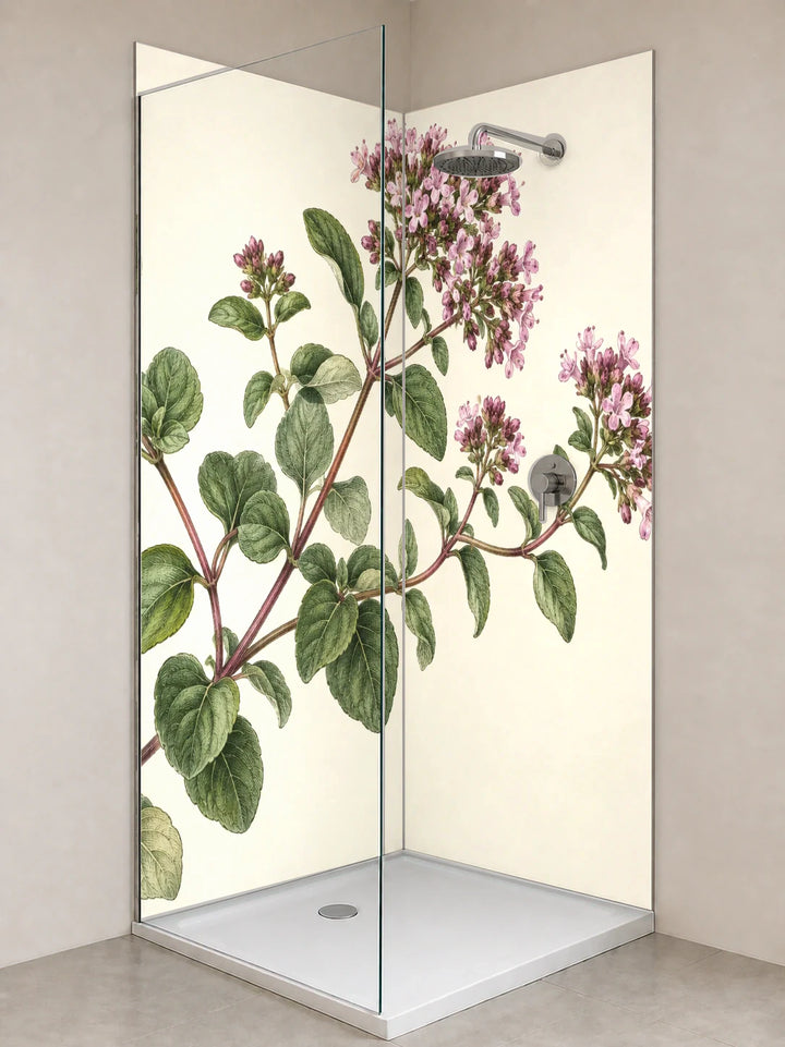 Duschrückwand „Oregano mit Blüten – Botanischer Stich“ als installierte Rückwand in einer hellen Dusche