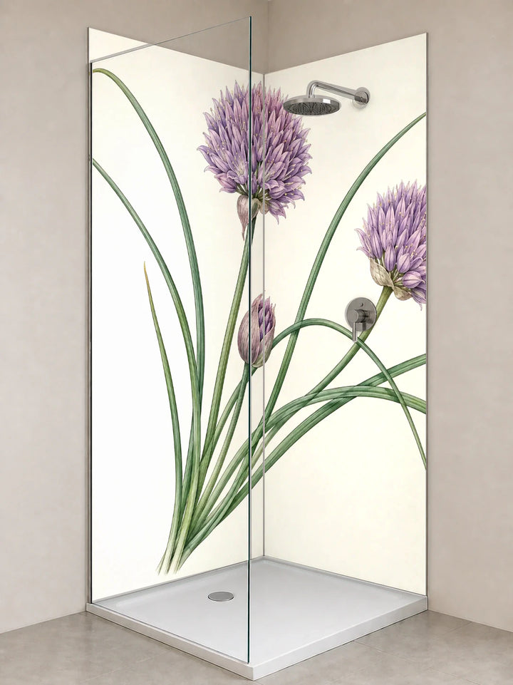 Duschrückwand „Schnittlauchblüte – Botanischer Stich“ als installierte Rückwand in einer hellen Dusche