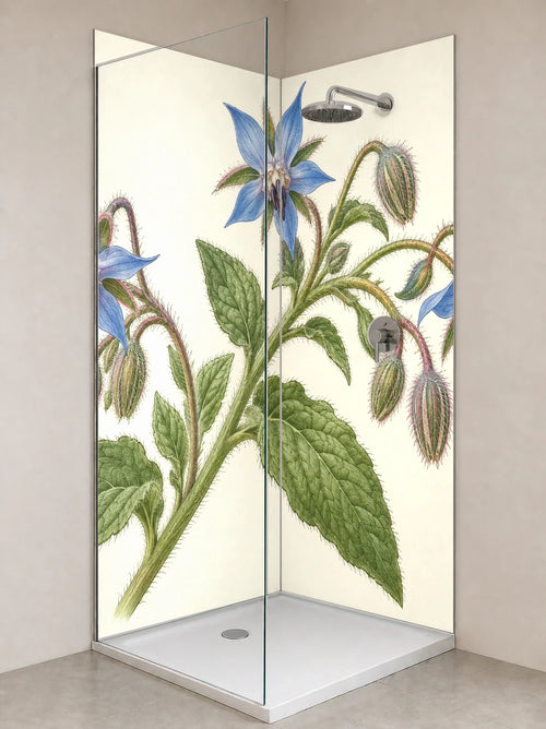 Duschrückwand „Borretsch mit Sternblüten – Botanischer Stich“ als installierte Rückwand in einer hellen Dusche