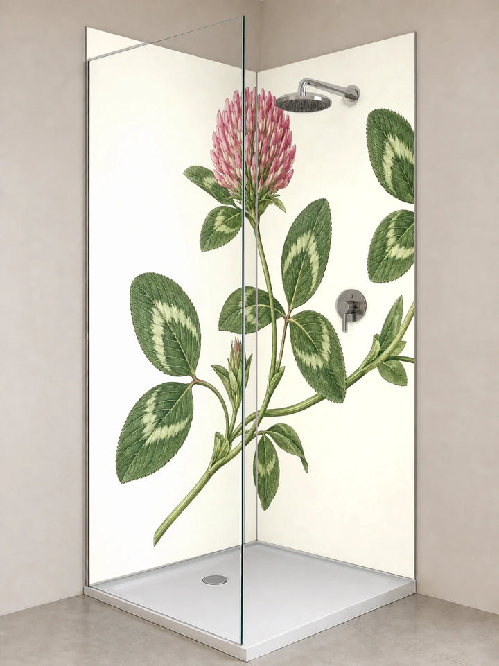 Duschrückwand „Rotklee am Wiesenrand – Botanischer Stich“ als installierte Rückwand in einer hellen Dusche