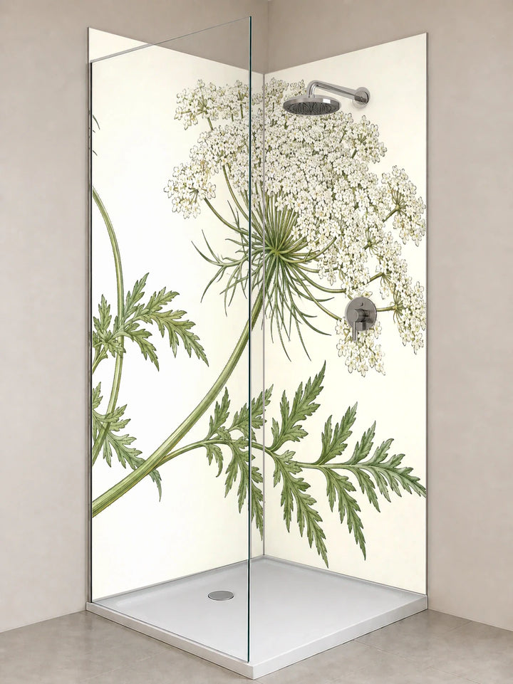 Duschrückwand „Wilde Möhre – Botanischer Stich“ als installierte Rückwand in einer hellen Dusche