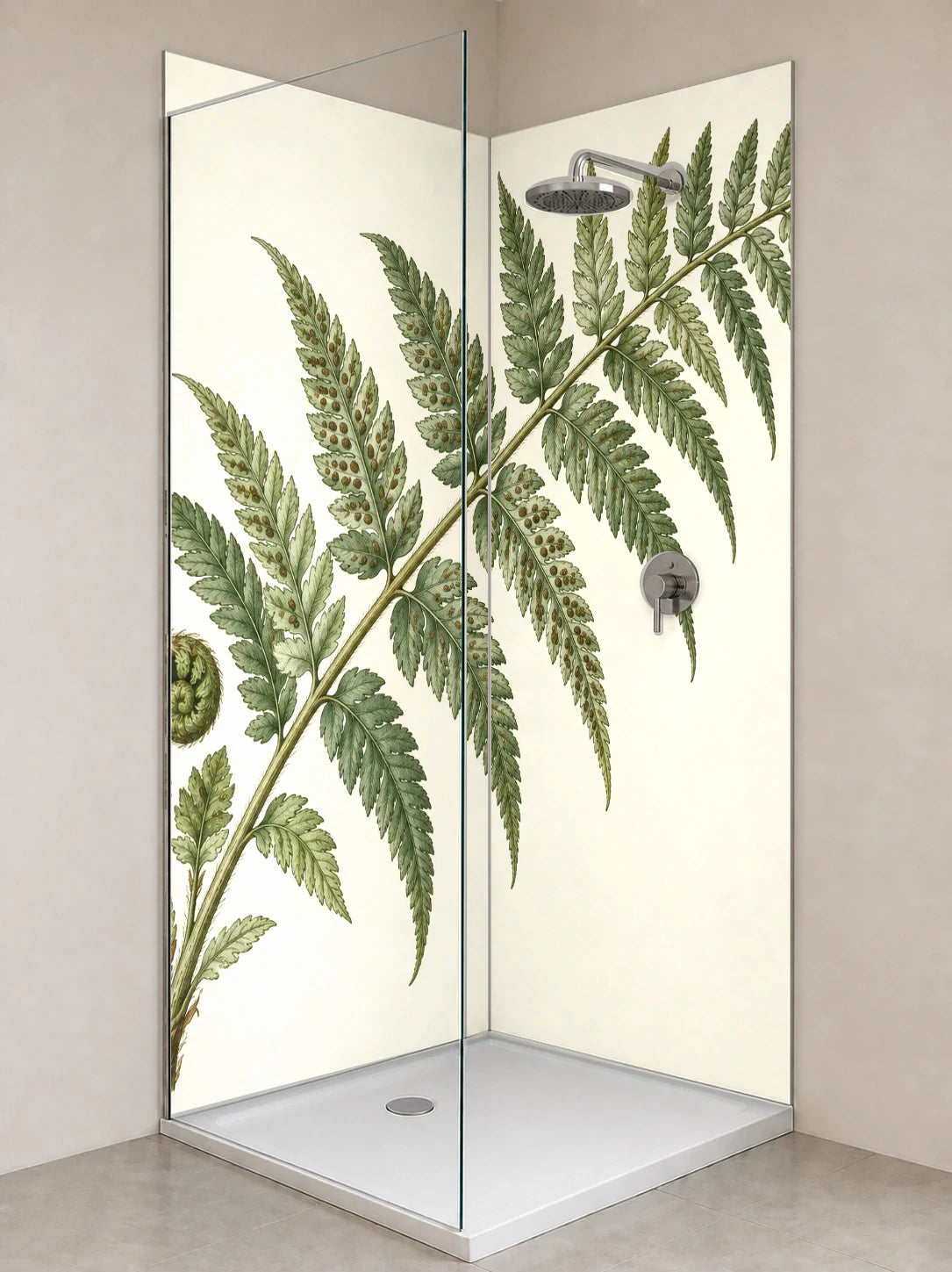 Duschrückwand „Farnwedel mit jungem Austrieb – Botanischer Stich“ als installierte Rückwand in einer hellen Dusche