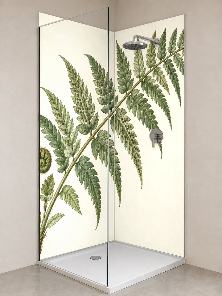 Duschrückwand „Farnwedel mit jungem Austrieb – Botanischer Stich“ als installierte Rückwand in einer hellen Dusche